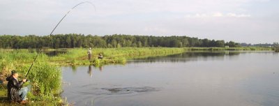 Озеро Куровичі у Львівській області