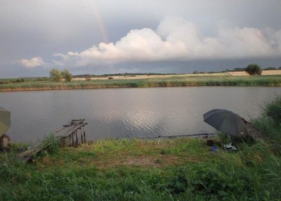 Озеро Куровичі у Львівській області