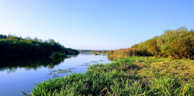 Озеро Куровичі у Львівській області