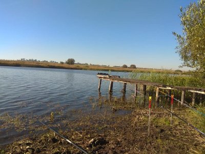 Озеро Куровичі у Львівській області