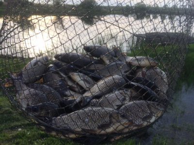 Озеро Куровичі у Львівській області