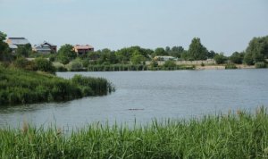 Озеро в Лисиничах Львовской области