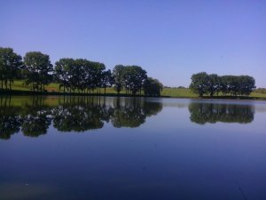 Озеро в Неслухове Львовской области