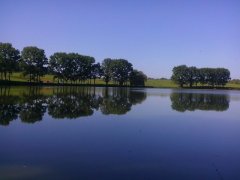 Озеро в Неслухове Львовской области