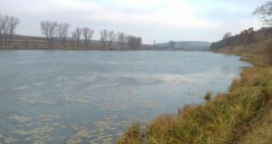 Озеро в Ремезовцах Львовской области