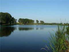 Озеро в селе Сулимов Львовской области