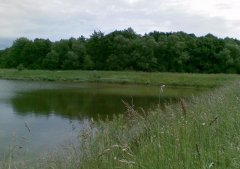 Озеро возле Бабичей Львовской области