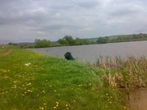 Озеро возле села Кореличи Львовской области