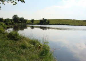 Пруд в Подгорном Львовской области