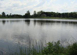 Пруд в Верхней Белке во Львовской области