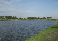 Пруд в Вислобоках Львовской области