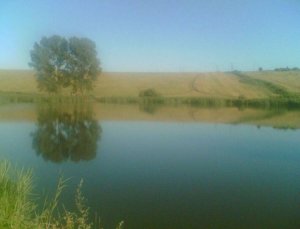 Пруд возле Ивановки Львовской области