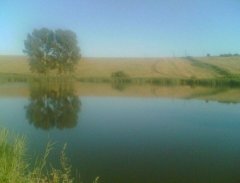 Пруд возле Ивановки Львовской области