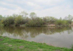 Пруды в Баковцах Львовской области