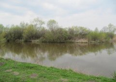 Пруды в Баковцах Львовской области