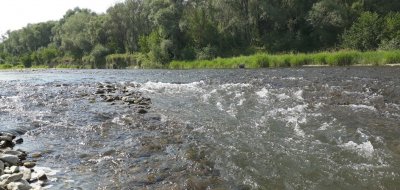 Рибалка на річці Бистриця