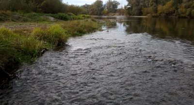 Рибалка на річці Бистриця