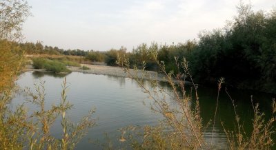 Рыбалка на реке Прут