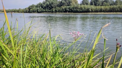 Рыбалка на реке Прут