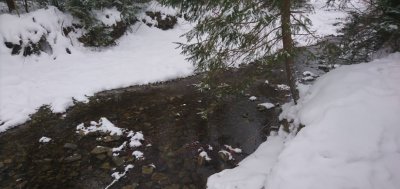 Рыбалка на реке Прут