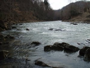 Рыбалка на реке Стрый в Новом Кропивнике Львовской области