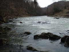 Рыбалка на реке Стрый в Новом Кропивнике Львовской области