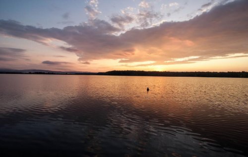 Риболовля на Чечвінському водосховищі 
