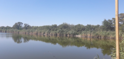 Рибалка на ставку в селі Петрівка, Запорізька область