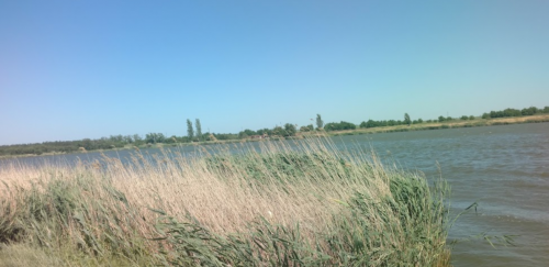 Рибалка на ставку в селі Петрівка, Запорізька область