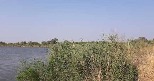 Рибалка на ставку в селі Петрівка, Запорізька область