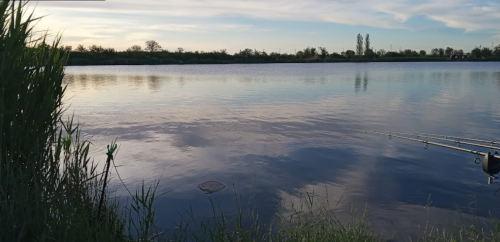 Рибалка на ставку в селі Петрівка, Запорізька область