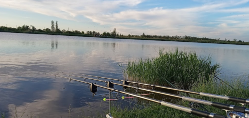 Рибалка на ставку в селі Петрівка, Запорізька область