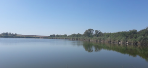 Рибалка на ставку в селі Петрівка, Запорізька область