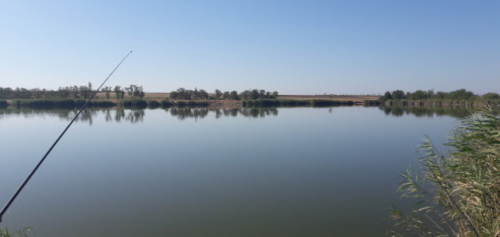Рибалка на ставку в селі Петрівка, Запорізька область