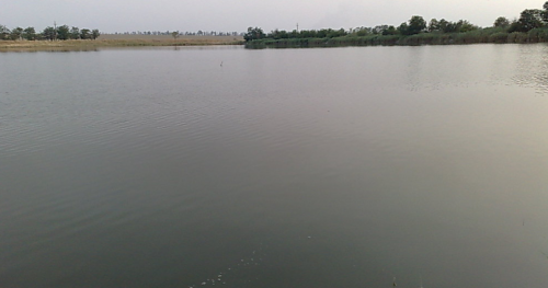 Рибалка на ставку в селі Петрівка, Запорізька область