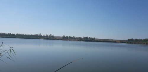 Рибалка на ставку в селі Петрівка, Запорізька область