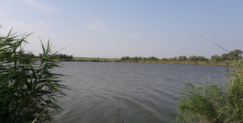 Рибалка на ставку в селі Петрівка, Запорізька область