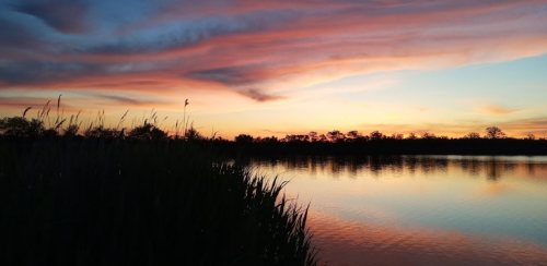 Рибалка на ставку в селі Петрівка, Запорізька область