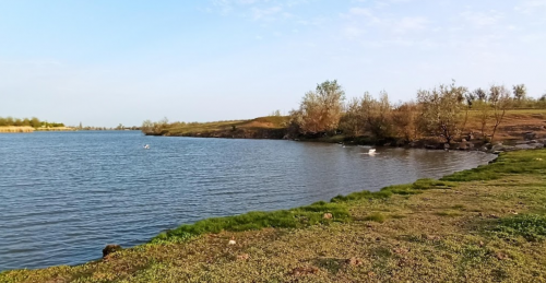 Рибалка на ставці у с. Зеленівка Запорізької області