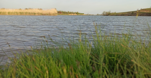 Рибалка на ставці у с. Зеленівка Запорізької області