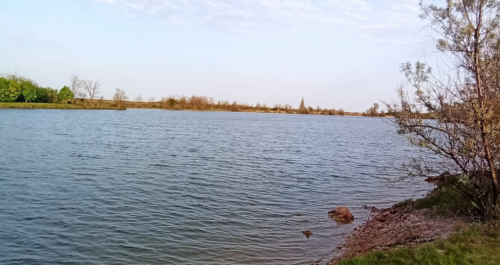 Рибалка на ставці у с. Зеленівка Запорізької області