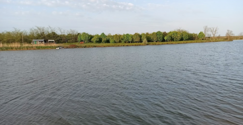 Рибалка на ставці у с. Зеленівка Запорізької області