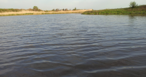 Рибалка на ставці у с. Зеленівка Запорізької області