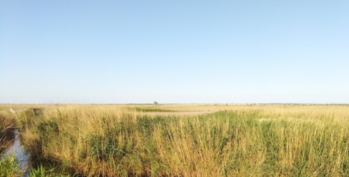 Морська рибалка біля села Преслав у Запорізькій області