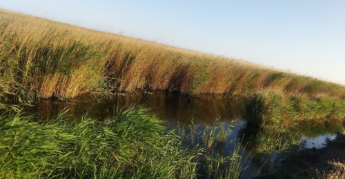 Морська рибалка біля села Преслав у Запорізькій області