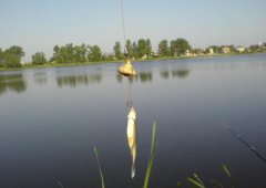 Рыбалка в Кунине Львовской области