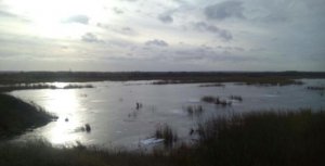 Рыбалка в Тетевчицах Львовской области