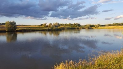 Рыбное хозяйство в с. Кривое
