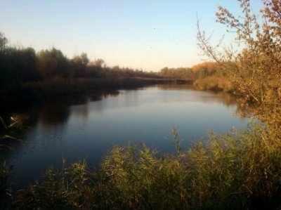 Рыбное хозяйство в с. Кривое