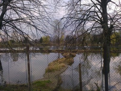 Рибне господарство Тисмениця